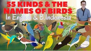 55 KINDS AND THE NAMES OF BIRDS ~ Bambapuang Foundation