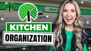 Dollar Tree Kitchen Organization Tricks... Easy, Affordable Solutions!