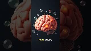 What causes Deja Vu!?! #facts #didyouknow #brainhack