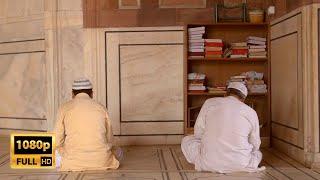 Reading Quran Mosque inside | Free Islamic Stock Footage |  Free Render Footage