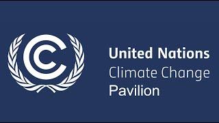 First Week Recap - UN Climate Change Pavilion, COP 27