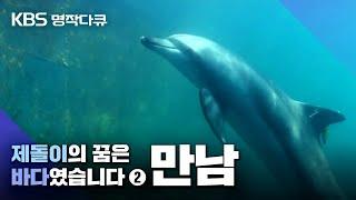 [명작다큐] 제돌이의 꿈은 바다였습니다 _2부 만남