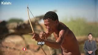 The Only Kalahari Desert Video You Need to Watch / Kalahari Desert: Guide For Everyone