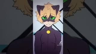 What happened to Chatnoir after Chatblanc? | MIRACULOUS LADYBUG | animatic/skit