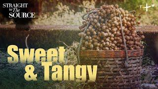 Longan: The Star Ingredient in Award-Winning Taiwanese Bread | Straight to the Source Ep.3