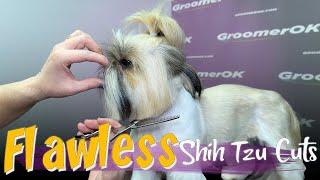 Shih Tzu Haircut Styles | Step-by-Step Grooming Tips for a Beautiful Coat | Groom Like a Pro!