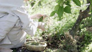 When you need healing | Countryside Life in South Korea | vlog