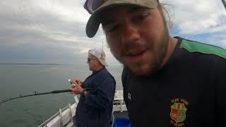 tope fishing Swansea South wales on a small boat