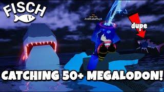 Catching 50+ Megalodon in FISCH | Roblox