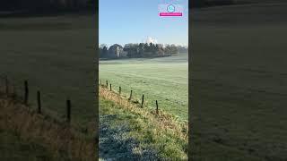 Beautiful morning view of Fields in Germany/ Aachen/#YoutubeShorts