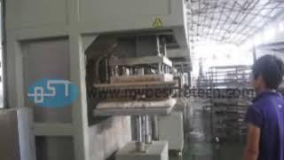 BST Semi-automatic Equipment Pulp Molding Packaging Machine