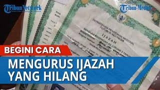 Begini Cara Mengurus Ijazah yang Hilang, Mudah Kok, Berikut Panduan Mengurusnya