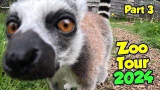 Tour of Northumberland Zoo June 2024 | Part 3