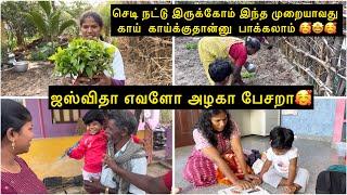 அம்மா வீட்டுல மூணாவது முறை செடி நட்டு இருக்கோம் இந்த முறையாவது காய்  காய்க்குதான்னு  பாக்கலாம் 