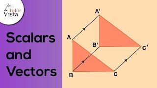 Scalars and Vectors | Quantities