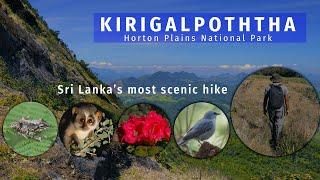 Hiking Kirigalpoththa | Horton Plains National Park | Sri Lanka