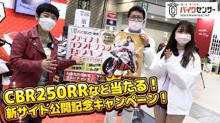 CBR250RRなど4台が当たる「BDSバイクセンサー サイト公開記念企画」！イメージガール竹川由華さん登場！「バイク情報動画BBB」は4月5日より「BDSバイクセンサー」に変更します！