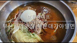 [보들라이프] 부산밀면 맛집 해운대 가야밀면