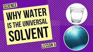Why Water is the Universal Solvent: The Science Behind Water’s Dissolving Power