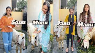 Finally Qurbani Ke Janwar  A Gaye