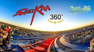 VR 360 5K Sheikra Roller Coaster On Ride Front Row POV Busch Gardens Tampa 2023 01 27