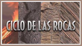 ️ CICLO de las ROCAS  ¿En qué rocas podemos encontrar fósiles?