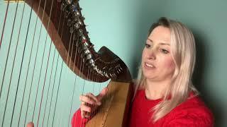 Rattlin' Roarin' Willie - Celtic Harp Lesson