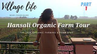 Hansali Organic Farm | Organic Farming & Farm Stay  Part 1| Prince Charles are visited this Farm