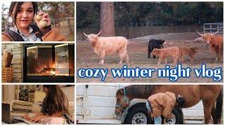 Cozy Winter Night | Barn Vlog