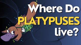 Where Do Platypuses Live? Discovering the Unique Habitats of the Platypus
