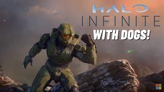 Halo Infinite but dogs betray Master Chief