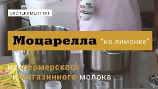 Моцарелла: тестируем магазинное молоко