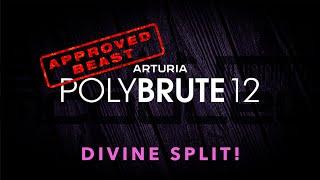 Arturia PolyBrute 12 - Divine Split!