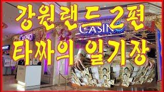 강원랜드 타짜의 어느일기장 pt.2(tv조선출처)