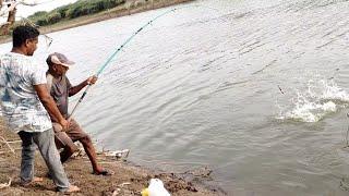 Incredble Big Rohu fishes hunting & Catching by Professional Fisherman|Unbelievable Hook fishing