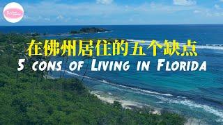 看了这一期再也不想去佛州 不适合在佛罗里达居住的五个原因 5 Cons Of Living In Florida 【Echo在美国】 Echo's happy life 【Echo的幸福生活】