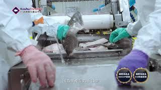 保證責任雲林縣口湖漁類生產合作社30s