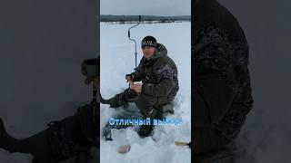 Лучшее место в лучшее время. Отличный выбор! Рыбалка #fishing #shorts