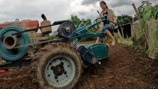 Full video of rice planting and harvesting