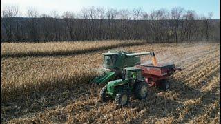 Sights & Sounds Of Corn Harvest