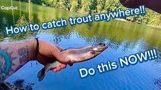 Trout fishing simplified!: The ONLY 3 tips you will ever need