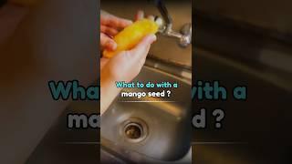 No Waste Thursday |  Do your bit to donate mango seeds | Aisha!