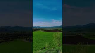Когда эхо отвечает цитатой Канта.