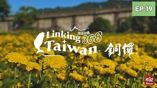 【苗栗銅鑼】EP19 完整版｜Linking368Taiwan