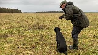 Laura Hill’s Hunting Tutorial