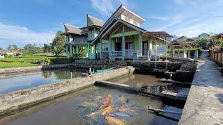 Bikin Stres Hilang, Melihat Air Jernih Melimpah Di Kampung Ikan, Suasana Pedesaan Sumedang Jawabarat