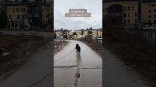 #shortsvideo2024 #санктпетербург