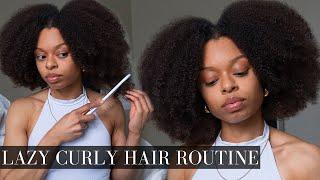 LAZY CURLY HAIR ROUTINE | Type 4 Natural Hair | AriannaLYF