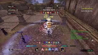 ESO Horns Of The Reach 41k DPS StamSorc