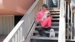 Paris Hilton's Home Activities: Malibu Quarantine Edition | Paris Hilton